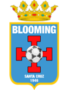 玻利维亚盛开足球俱乐部